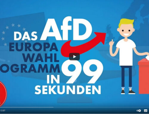 AfD-EUROPA-Wahlprogramm in 99 Sekunden