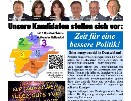 Blauer Bote – Januar 2026 – Unsere Direktkandidaten stellen sich vor!