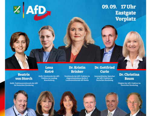 AfD-Abschlusskundgebung am Eastgate Marzahn!